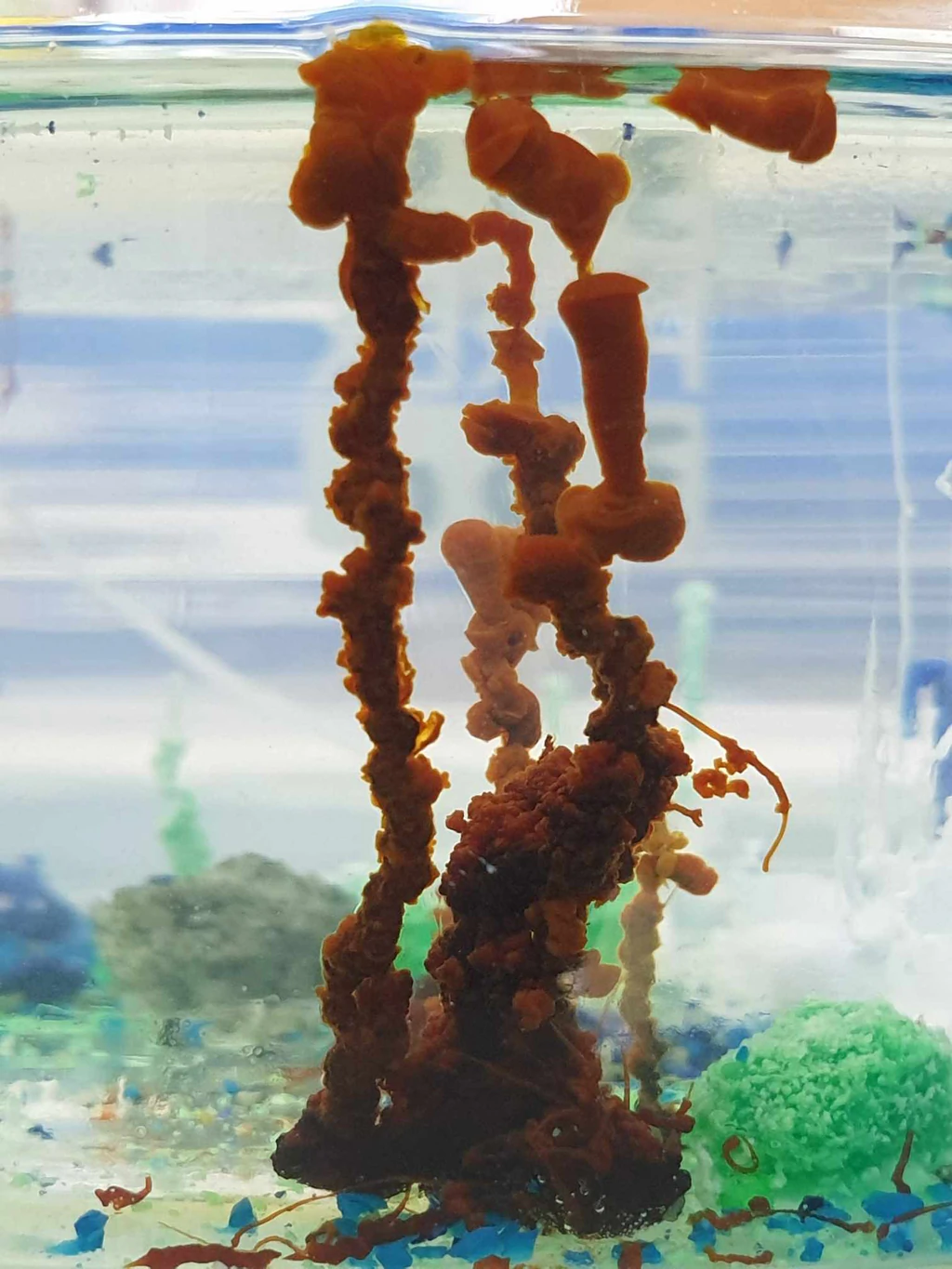 Jardin chimique en tube à essai